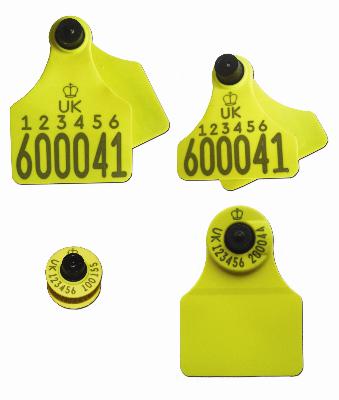 Allflex Ultra Range of Cattle Tags